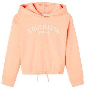 HOODIE NAME IT 13194371 NKFVIALA ΑΝΟΙΧΤΟ ΡΟΔΑΚΙΝΙ (146-152 CM)-(11-12 ΕΤΩΝ) HOODIE NAME IT 13194371 NKFVIALA ΑΝΟΙΧΤΟ ΡΟΔΑΚΙΝΙ (146-152 CM)-(11-12 ΕΤΩΝ)