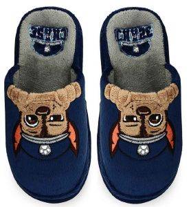 ΠΑΝΤΟΦΛΕΣ PAREX PAW PATROL ΜΠΛΕ (EU:31/32) ΠΑΝΤΟΦΛΕΣ PAREX PAW PATROL ΜΠΛΕ (EU:31/32)