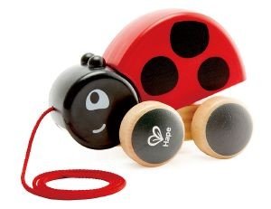 HAPE HAPE PUSH - PULL LADYBUG PULL ALONG