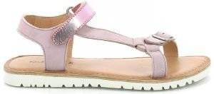  KICKERS BRASKA 894831  (EU:36)