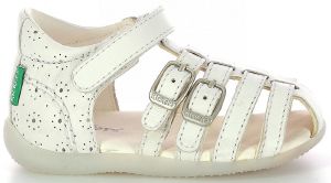ΠΑΠΟΥΤΣΟΠΕΔΙΛΑ KICKERS BIGKRO 894603 ΛΕΥΚΟ (EU:27) ΠΑΠΟΥΤΣΟΠΕΔΙΛΑ KICKERS BIGKRO 894603 ΛΕΥΚΟ (EU:27)
