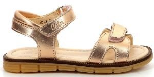 ������ ASTER GREKIA 932420 ���/��������� (EU:30)