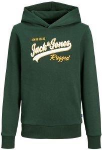 HOODIE JACK & JONES 12212287 JJELOGO ΣΚΟΥΡΟ ΠΡΑΣΙΝΟ(176 CM)(16 ΕΤΩΝ) HOODIE JACK & JONES 12212287 JJELOGO ΣΚΟΥΡΟ ΠΡΑΣΙΝΟ(176 CM)(16 ΕΤΩΝ)