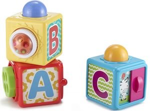 FISHER-PRICE ΚΥΒΟΙ ΔΡΑΣΤΗΡΙΟΤΗΤΩΝ FISHER-PRICE (DHW15)