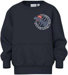 ������ NAME IT NMMVUGO DINO 13234314 ������ ���� (104CM)(4 ����)