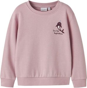  NAME IT NMFVASACHA NREG NARWHALE 13246317  (98CM)-(2-3 )