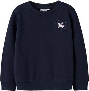  NAME IT NMFVASACHA NREG UNICORN 13246317  