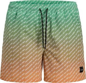 ΜΑΓΙΟ ΒΕΡΜΟΥΔΑ JACK & JONES 12273844 JPSTMAUI JJSWIM GRADIENT AKM SN JNR ΠΡΑΣΙΝΟ (176 CM) ΜΑΓΙΟ ΒΕΡΜΟΥΔΑ JACK & JONES 12273844 JPSTMAUI JJSWIM GRADIENT AKM SN JNR ΠΡΑΣΙΝΟ (176 CM)