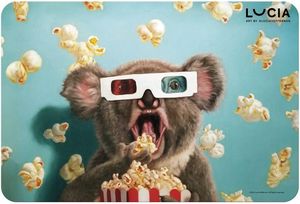 ΣΟΥΠΛΑ MUST LUCIA KOALA 43 X 29 CM ΣΟΥΠΛΑ MUST LUCIA KOALA 43 X 29 CM