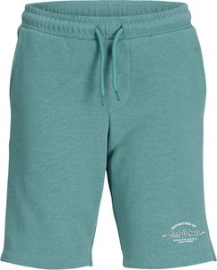 �������� JACK & JONES JPSTGORDON BRANDON SWEAT 12292138 �������