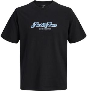 T-SHIRT JACK & JONES JORCATSKILLS 12298348 ����� (164CM)-(14 ����)