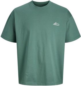 T-SHIRT JACK & JONES JCODUST SCRIPT BACK 12293179 ������� (104CM)-(4 ����)