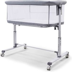������� ����� ASALVO SKY GREY