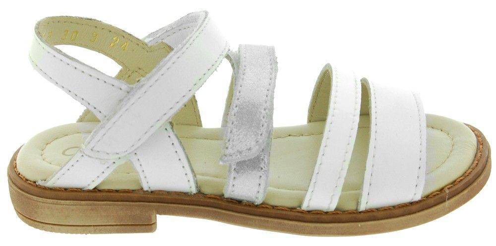 ASTER ΔΕΡΜΑΤΙΝΑ ΣΑΝΔΑΛΙΑ ASTER TCHAK 415573 ΛΕΥΚΟ/ΓΚΡΙ (EU:31)