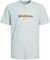   JACK & JONES 12253973 JOR...