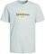   JACK & JONES 12253973 JOR...