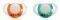    CHICCO  PHYSIO    12M+ (2)