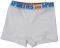 BOXER MINERVA ''SPORTIES JNR