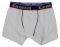 BOXER MINERVA C/EL''CARIBBEAN  (104.)-...