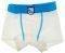 BOXER MINERVA C/L COUNTRIES  (98.)-(2-...
