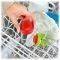   FISHER PRICE EZ CLEAN TEETHE N\' FEED