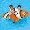 ���� NEMO �������� ������