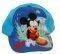 ������ MINERVA MICKEY SURFING (48��. ��������...