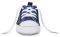   CONVERSE ALL STAR CHUCK TAYLOR FIRST STAR HI 88865-410  (EU:17)