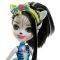  ENCHANTIMALS &     ZELENA ZEBRA DOLLS [FKY72]