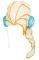 - DISNEY FROZEN ELSA 3-8 ...