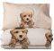 ��� �������� ������� BABY COLLECTION GREENWIC...