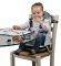    &   POLAR GEAR GO ANYWHERE BOOSTER SEAT WITH PLACE MAT- ELEPHANT