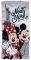   DAS HOME MICKEY IN NY  7014...