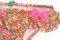 BIKINI BIEF BENETTON FLORAL   (74CM)-(9-12 )