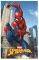   DAS HOME SPIDERMAN - (170260 CM)