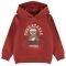 HOODIE NAME IT 13193550 NMMNALLON ΚΕΡΑΜΙΔΙ