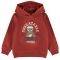 HOODIE NAME IT 13193550 NMMNALLON  (92 CM)-(2 )