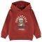 HOODIE NAME IT 13193550 NMMNALLON  (98 CM)-(3 )