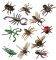   INSECTS  MINILAND 12 ...