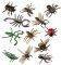�������� �������������� INSECTS  MINILAND 12 ...