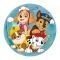  LIGHT UP 100MM PAW PATROL ASSORT