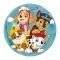 ����� LIGHT UP 100MM PAW PATROL ASSORT