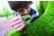 [BOM]      HAPE NATURE DETECTIVE SET 2 