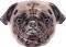    PUG INTEX PUG FACE 173...