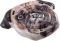    PUG INTEX PUG FACE 173 X 130CM