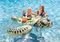    INTEX REALISTIC SEA TURTLE RIDE ON 191 X 170CM