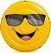      COOL  INTEX ...