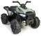 FEBER QUAD BOXER [800012541]