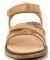  ASTER TESSIA 861937  / (EU:29)
