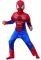 SPIDER MAN DELUXE [640895]